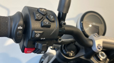 Triumph Trident (20MY)